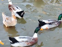 -森林公园(尖草坪区)