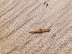 -天怡興·百年蒸饺(中心书城店)