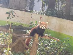 -杭州少年儿童公园