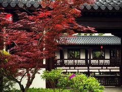 -江心屿景区