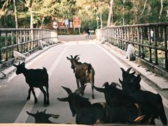 -明仕田园