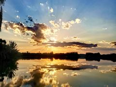 -大兴滨河森林公园