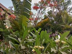 -西双版纳融创皇冠假日度假酒店