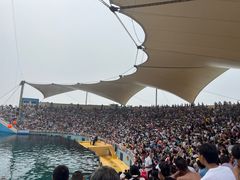 -秦皇岛乐岛海洋王国