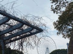 -蠡湖中央公园