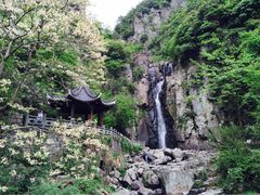 iphone_upload_pic-溪口-滕头旅游景区