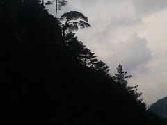 景点-大明山自然探索公园