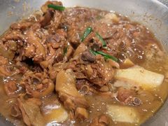 -成老灶火锅鸡(平山店)
