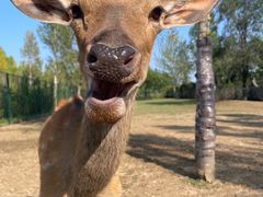 -野鸭湖国家湿地公园