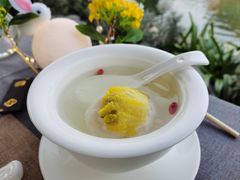 清炖鮰鱼狮子头-苏城家宴·金堤花园店(李公堤店)