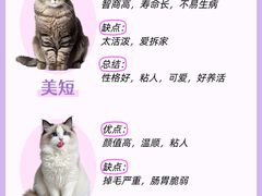 -lincat·猫舍(广州店)