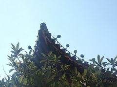 -南京钟山宾馆(江苏省会议中心)