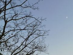 -广富林郊野公园