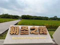 -良渚古城遗址公园