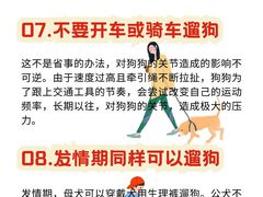 -翊宠yipet猫狗购宠庄园犬舍•猫舍