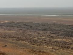 -鄱阳湖国家湿地公园