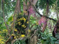 -中国科学院西双版纳热带植物园