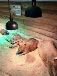 -Zoolung Zoolung动物主题公园(海信广场店)