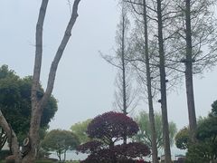 -杭州西湖柳莺里酒店·闻莺厅