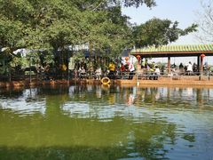 -侯臣咖啡文化村