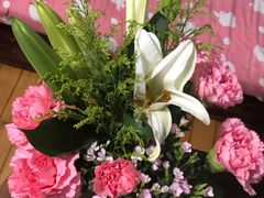 -家乐购(佳木斯万达广场店)