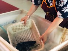 -金海椒罐罐鲢鱼(东方桂苑店)