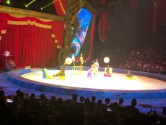 -珠海横琴长隆《卡卡虎奇遇记》