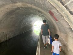 -白水寺森林公园