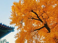 -承恩寺