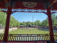 -尚庄度假村·庭台树下·户外烧烤·团建CS·轰趴营地(上庄水库店)