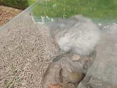 -正佳雨林生态植物园