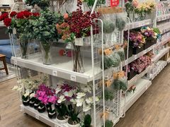 -NITORI 宜得利家居(杭州良渚永旺店)
