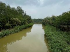 -塘沽森林公园