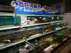 景观位-盒马鲜生(莱蒙都会店)