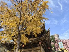 -上海东林寺(金山区)