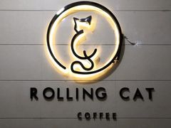 -滚猫咖啡·猫咖·猫友好撸猫(未来城店)