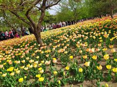 -长春公园(普阳街道)