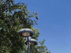 -中山市树木园