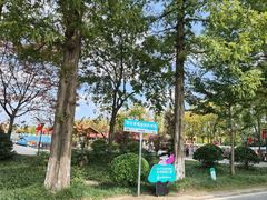 -黄海国家森林公园