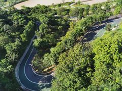 -飞凤山奥体公园