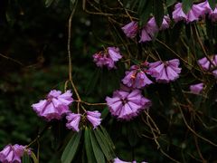 -龙苍沟森林公园