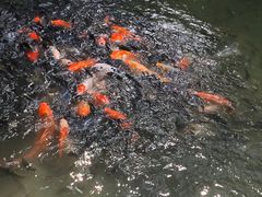 -珠海圆明新园
