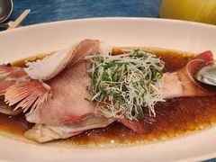 -圆苑(静安寺店)