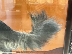 -浙江西湖美术馆