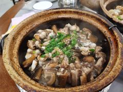-红星光发煲仔饭(大石街店)