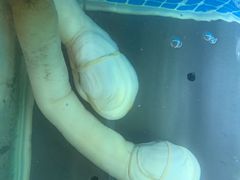 -稷泽·海丽宾雅温泉度假酒店