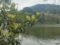 -黔灵山公园