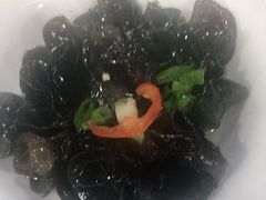凉拌木耳-康师傅私房牛肉面(北京南站店)