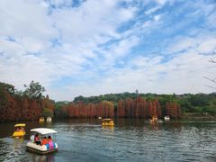 -星湖旅游景区七星岩