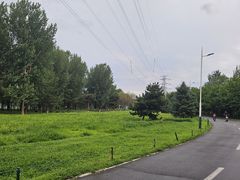 -长白岛森林公园